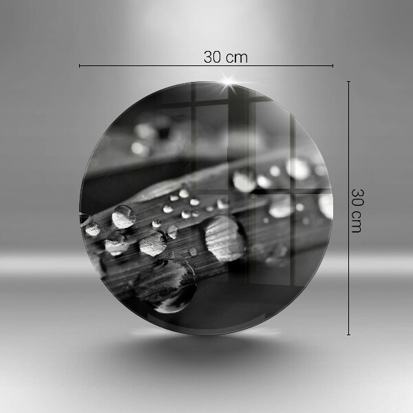 De vidrio templado Gotas de rocío sobre las hojas