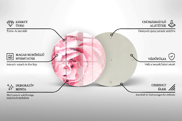 De vidrio templado Gotas de rocío y flor de rosa