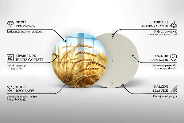 De vidrio templado Espigas de cereales en el campo