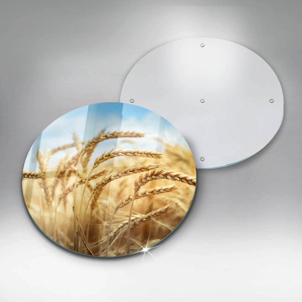 De vidrio templado Espigas de cereales en el campo