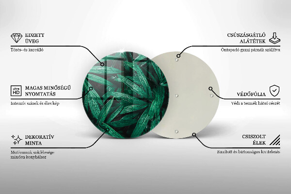 De vidrio templado Hojas de plantas