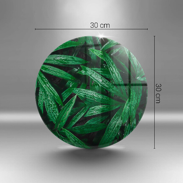 De vidrio templado Hojas de plantas