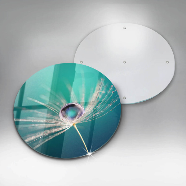 De vidrio templado Rocío sobre un diente de león