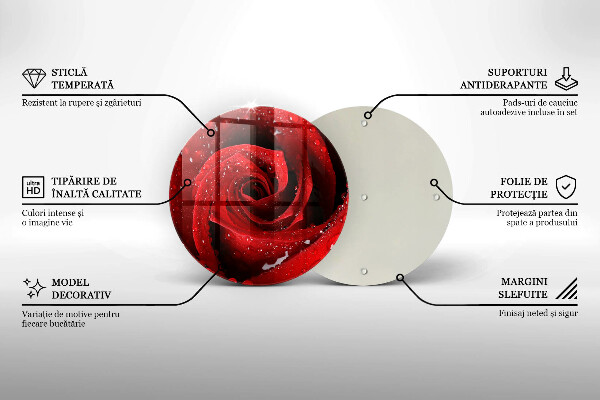 De vidrio templado Pétalos de rosas