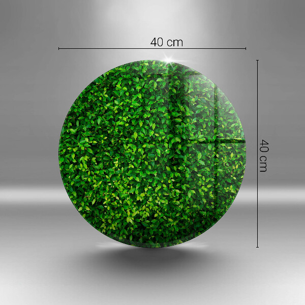 De vidrio templado Planta con hojas pequeñas