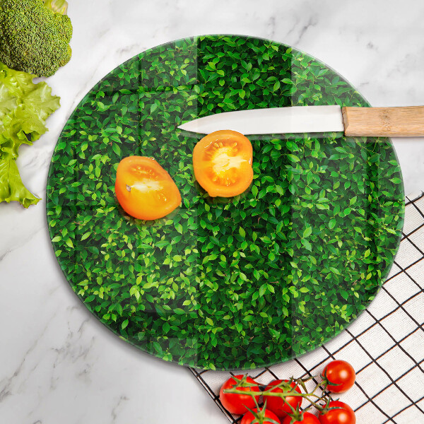 De vidrio templado Planta con hojas pequeñas