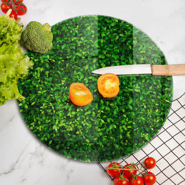 De vidrio templado Planta con hojas pequeñas