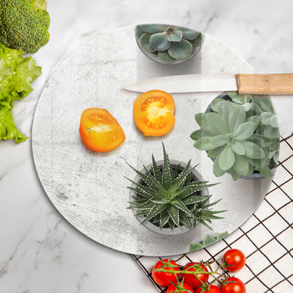 De vidrio templado Suculentas sobre concreto