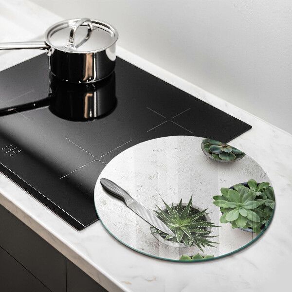 De vidrio templado Suculentas sobre concreto