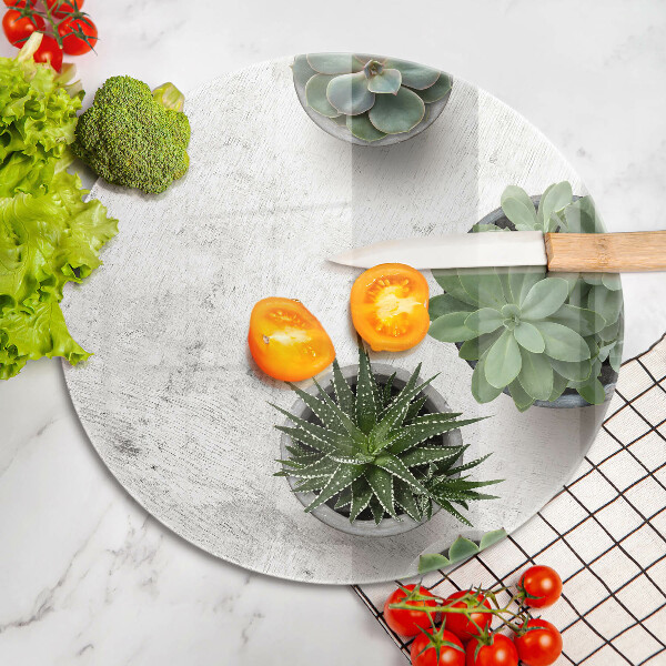 De vidrio templado Suculentas sobre concreto