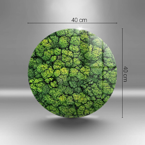 De vidrio templado Planta de musgo natural