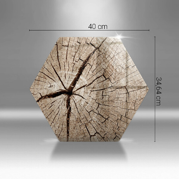 Tabla de cortar de vidrio Sección transversal de un árbol