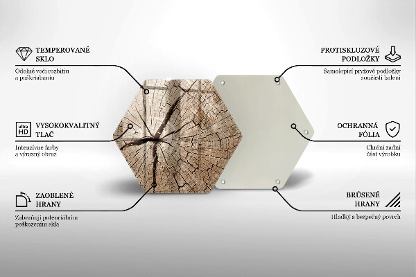 Tabla de cortar de vidrio Sección transversal de un árbol