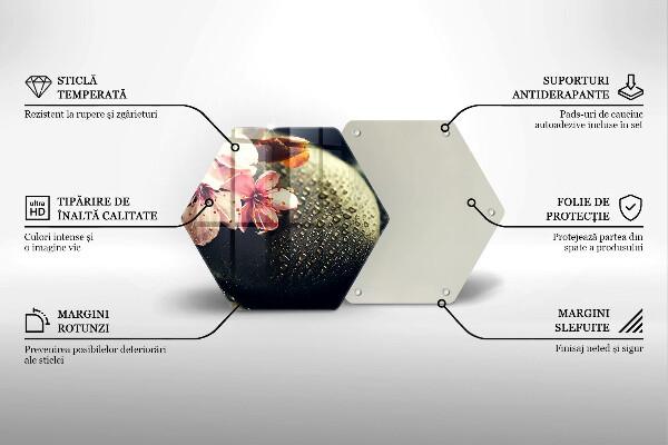 Tabla de cortar de vidrio Flores piedras zen