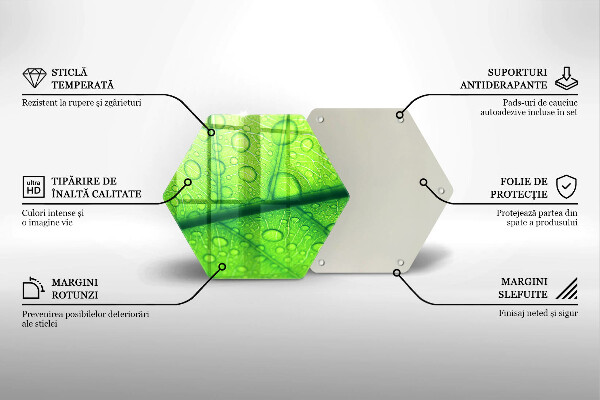 Tabla de cortar de vidrio Primer plano de una hoja
