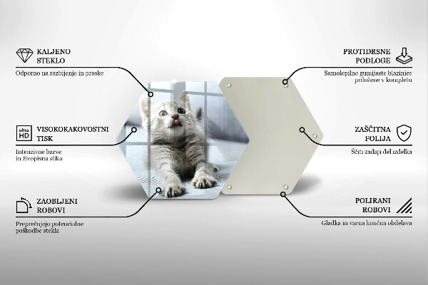 Tabla de cortar de vidrio Pequeño gatito lindo