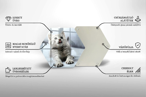 Tabla de cortar de vidrio Pequeño gatito lindo