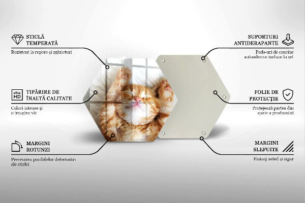 Tabla de cortar de vidrio Pequeño gatito lindo