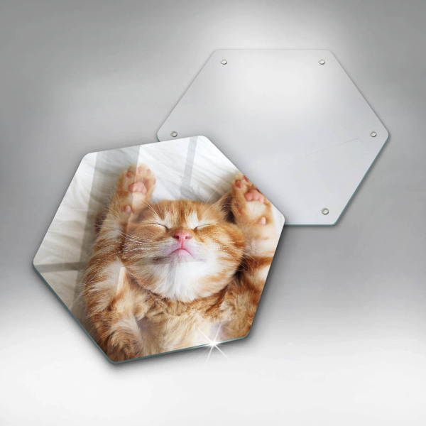 Tabla de cortar de vidrio Pequeño gatito lindo