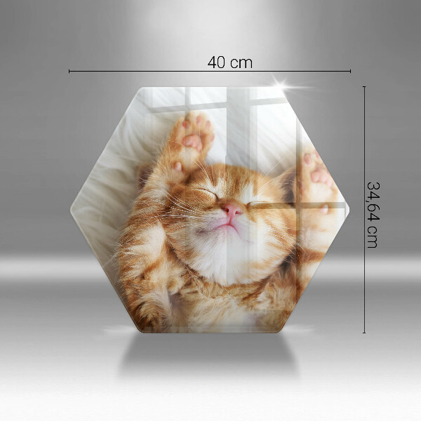 Tabla de cortar de vidrio Pequeño gatito lindo