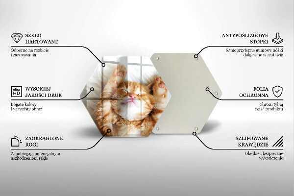 Tabla de cortar de vidrio Pequeño gatito lindo