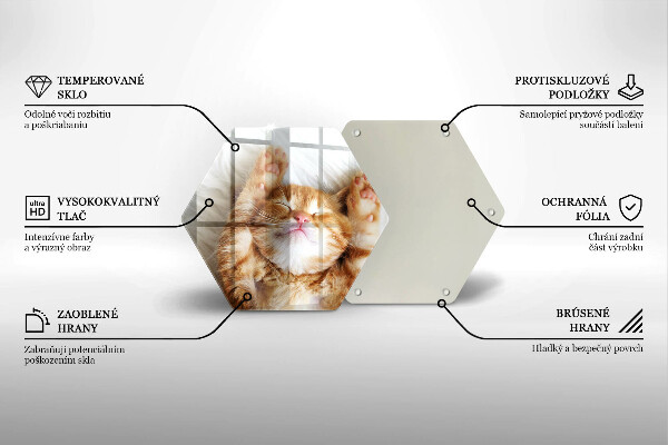 Tabla de cortar de vidrio Pequeño gatito lindo