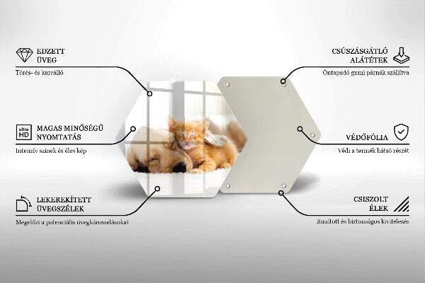 Tabla de cortar de vidrio Animales perro y gato