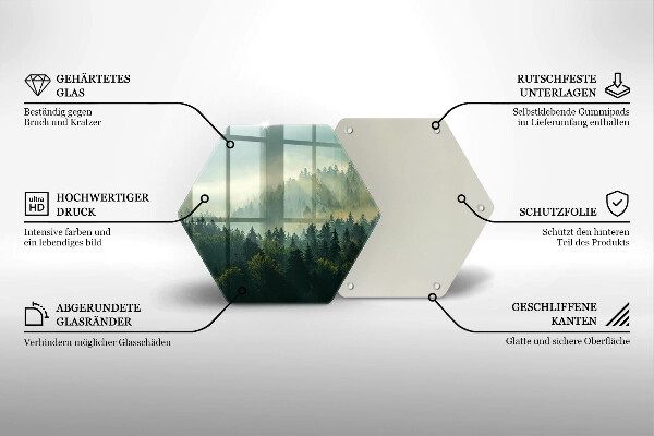 Tabla de cortar de vidrio Vista del paisaje del bosque