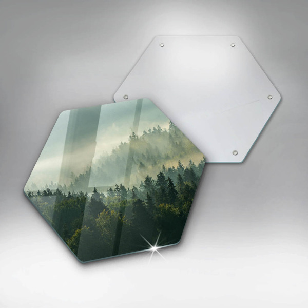 Tabla de cortar de vidrio Vista del paisaje del bosque