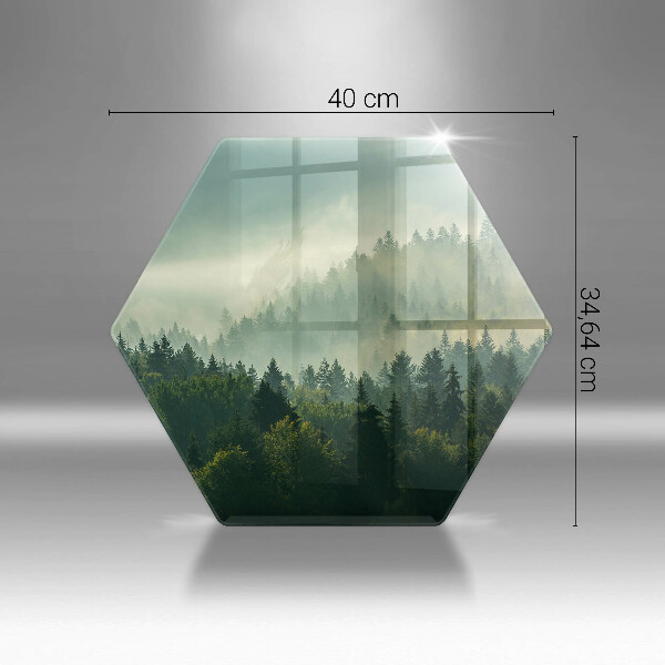 Tabla de cortar de vidrio Vista del paisaje del bosque