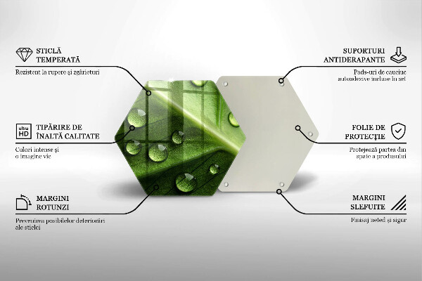 Tabla de cortar de vidrio Hoja y rocío de la naturaleza