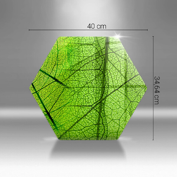 Tabla de cortar de vidrio Venas de las hojas naturales
