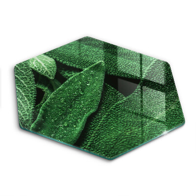 Tabla de cortar de vidrio Las hojas de la planta
