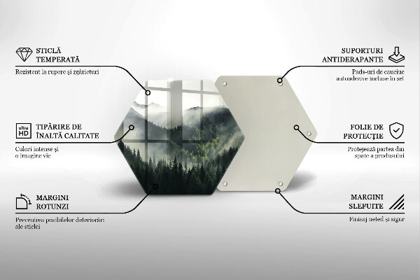 Tabla de cortar de vidrio Paisaje de bosque y niebla