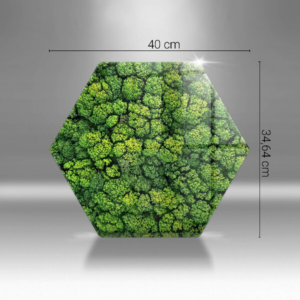 Tabla de cortar de vidrio Planta de musgo natural