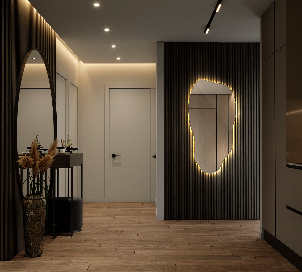 Espejo organico con luz led moderno 50x100 cm