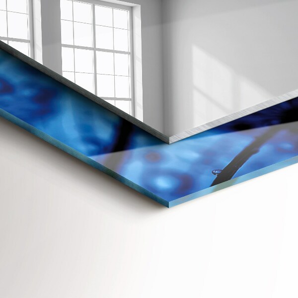 Gotas de agua sobre abanicos