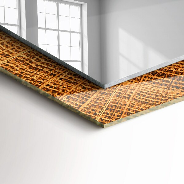 Sección transversal de los anillos de crecimiento de un tronco de árbol