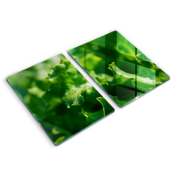 Tapa encimera Hojas de lechuga