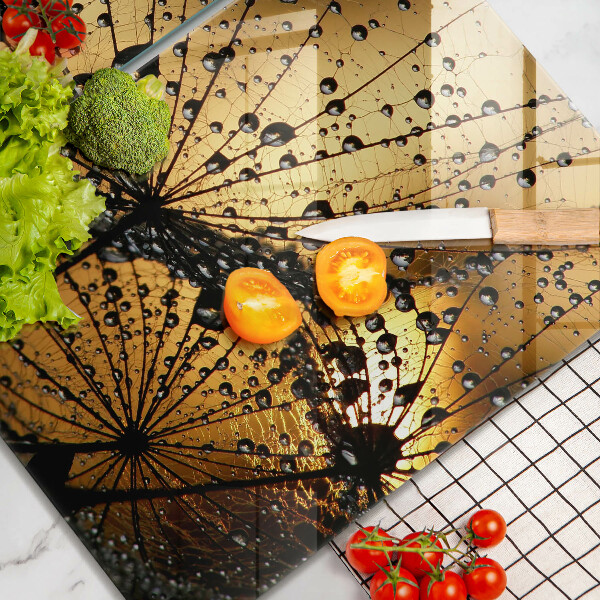 Protector pared cocina Rocío y dientes de león