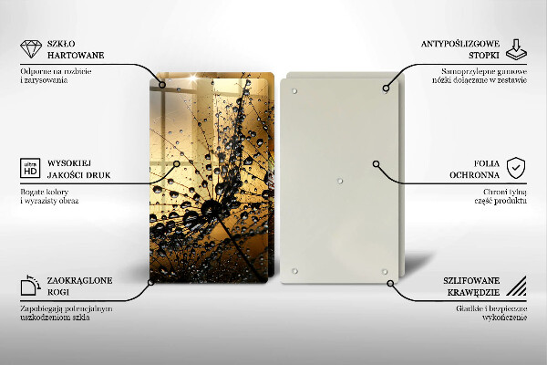 Protector pared cocina Rocío y dientes de león