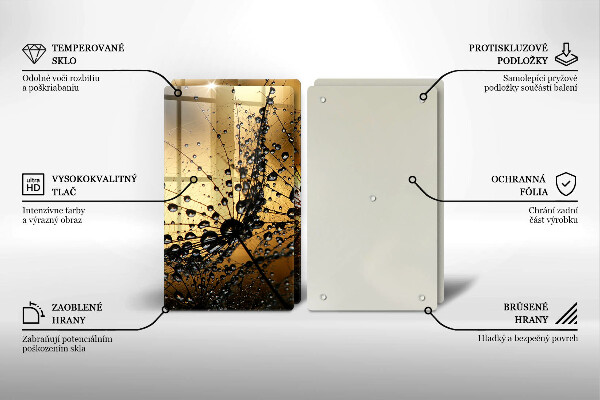 Protector pared cocina Rocío y dientes de león