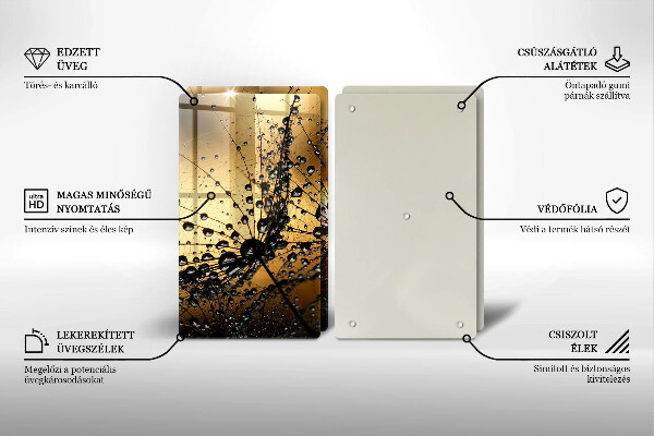 Protector pared cocina Rocío y dientes de león