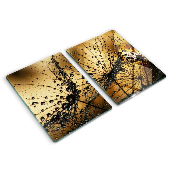 Protector pared cocina Rocío y dientes de león