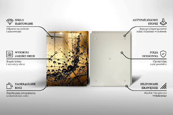 Protector pared cocina Rocío y dientes de león