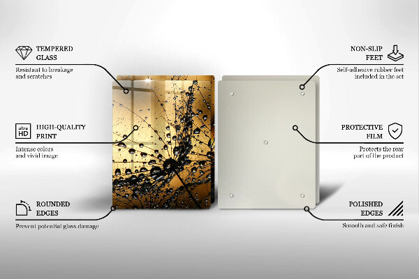 Protector pared cocina Rocío y dientes de león