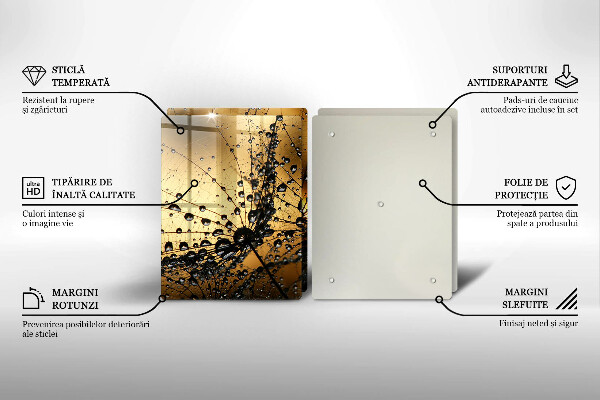 Protector pared cocina Rocío y dientes de león