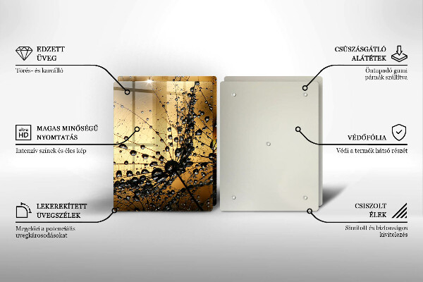 Protector pared cocina Rocío y dientes de león