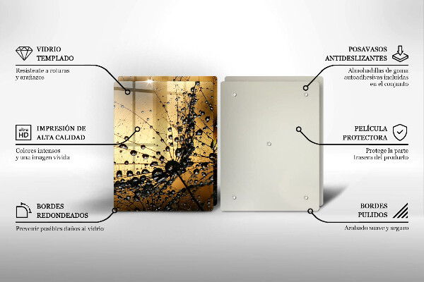 Protector pared cocina Rocío y dientes de león