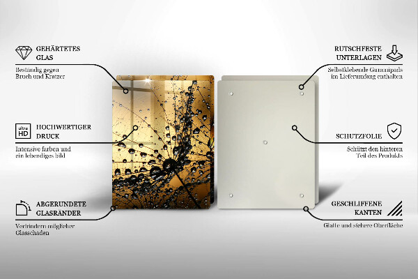 Protector pared cocina Rocío y dientes de león